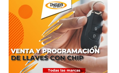 https://www.computadorasautomotricesingea.com/es/noticia/63/ventadellavesconchip.html